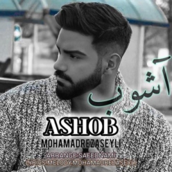 دانلود آهنگ محمدرضا سیلی آشوب